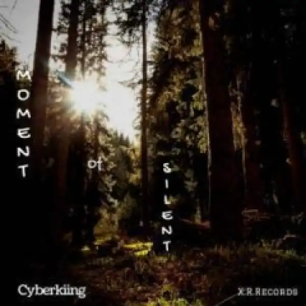 Cyberkiing - Moment Of Silence